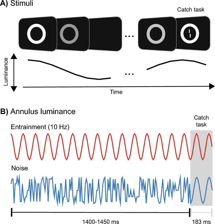 Spectral tuning and after-effects in neural entrainment