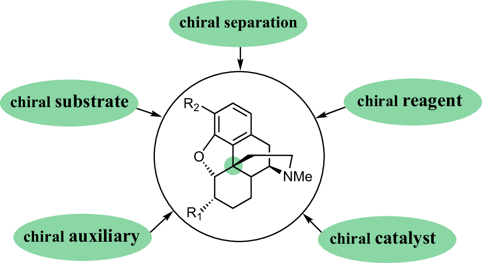 A guide for asymmetric synthesis of morphine alkaloids