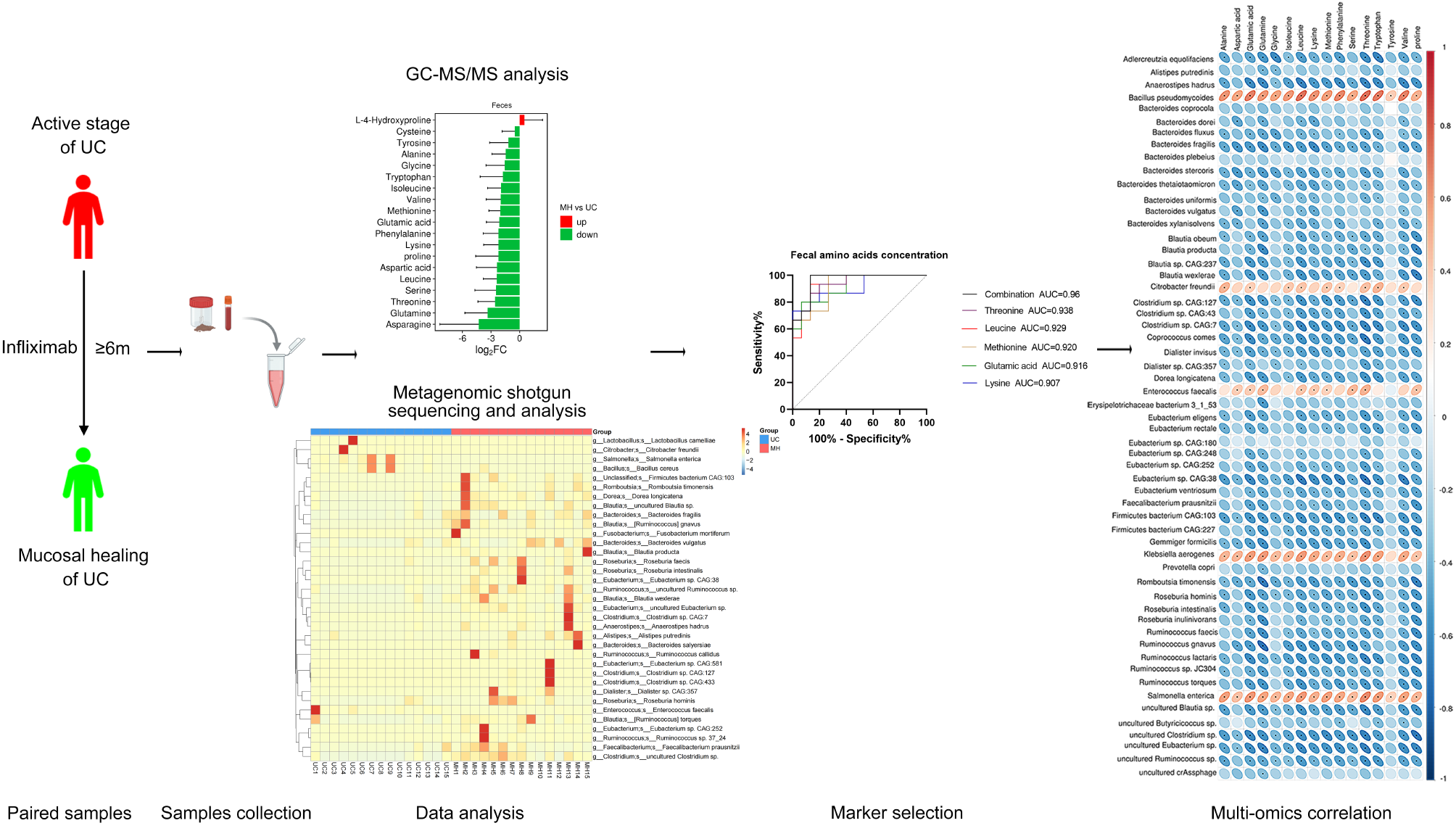 Changes in amino acid concentrations and the gut microbiota composition are implicated in the mucosal healing of ulcerative colitis and can be used as noninvasive diagnostic biomarkers