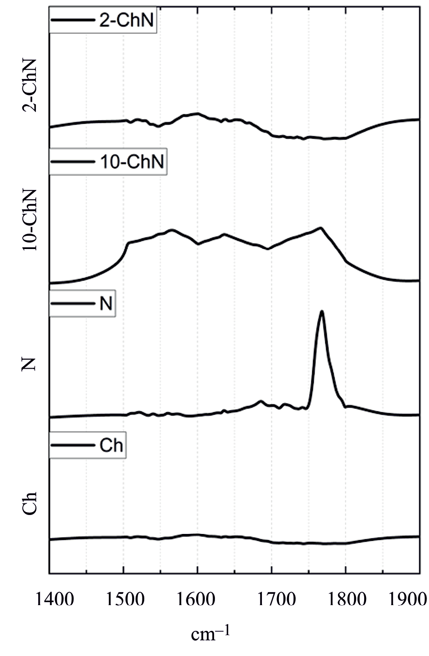 Synthesis and Rheological Studies of Ionic Hydrogels of Chitosan with 5-Norbornene-2,3-dicarboxylic Acid