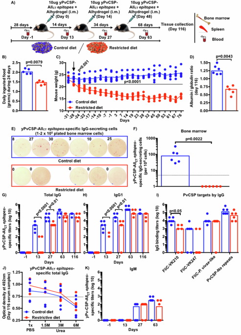 Protein-energetic malnutrition hinders malaria vaccine-derived cellular and class-switched antibody responses against the Plasmodium vivax circumsporozoite protein in mice