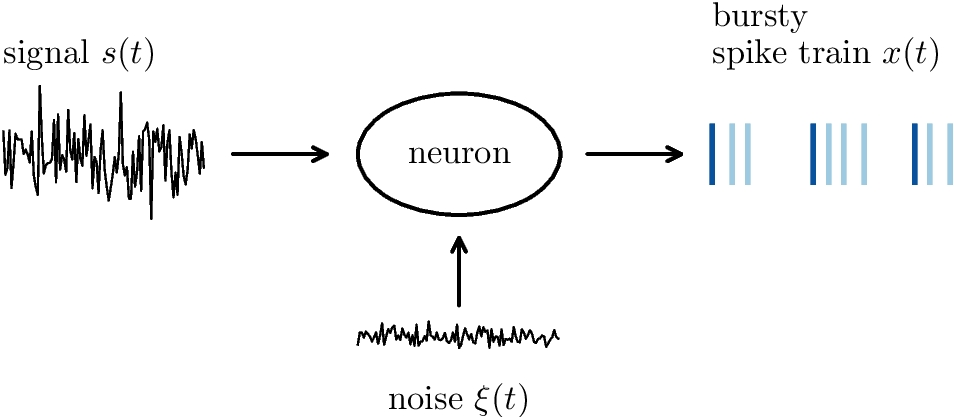 Effect of burst spikes on linear and nonlinear signal transmission in spiking neurons