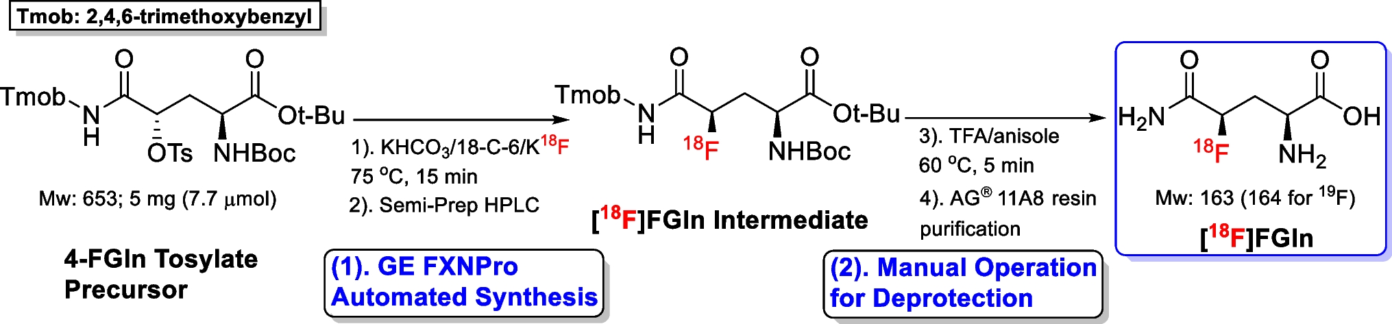 The Potential Utility of (2S,4R)-4-[18F]fluoroglutamine as a Novel Metabolic Imaging Marker for Inflammation Explored by Rat Models of Arthritis and Paw Edema