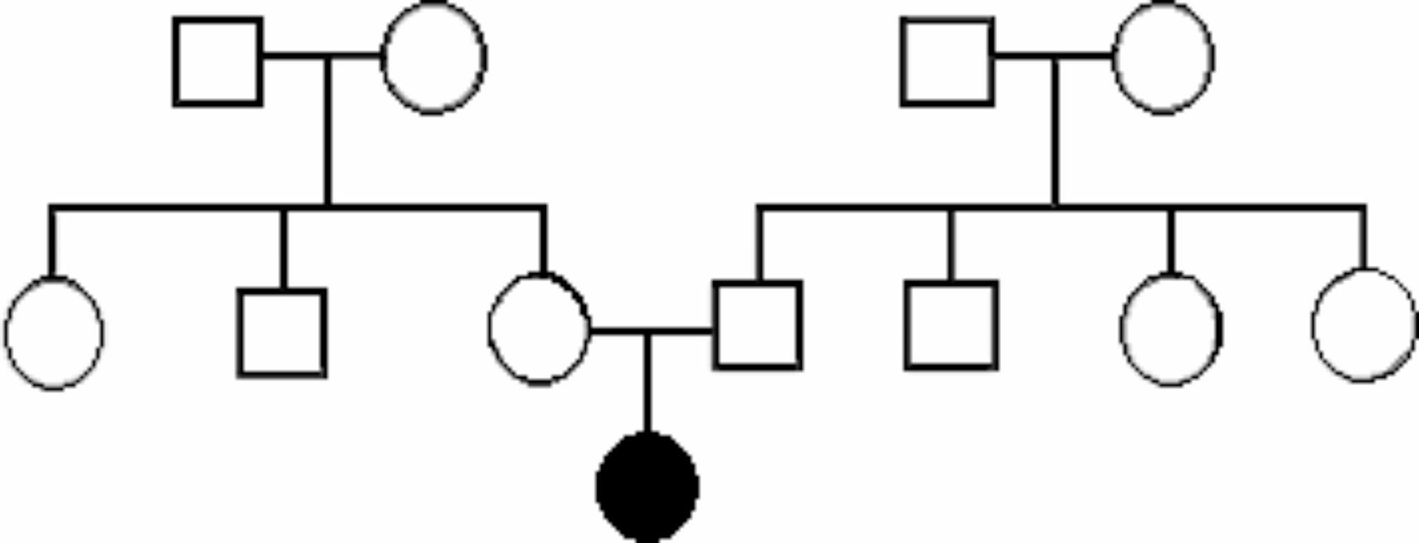 Introducing a novel TRAPPC10 gene variant as a potential cause of developmental delay and intellectual disability in an Iranian family