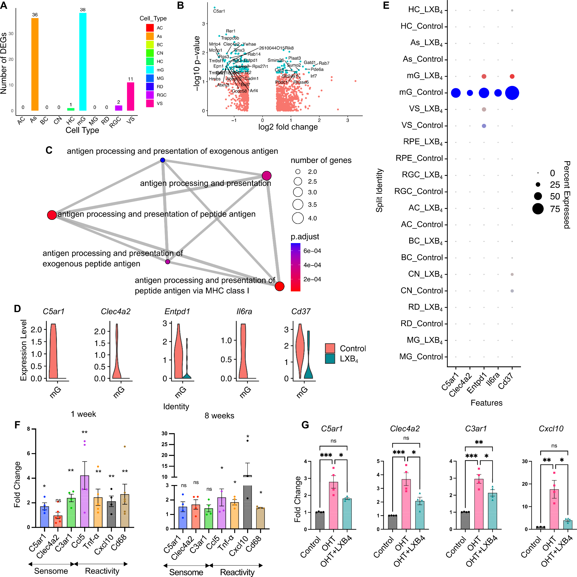 Regulation of disease-associated microglia in the optic nerve by lipoxin B4 and ocular hypertension