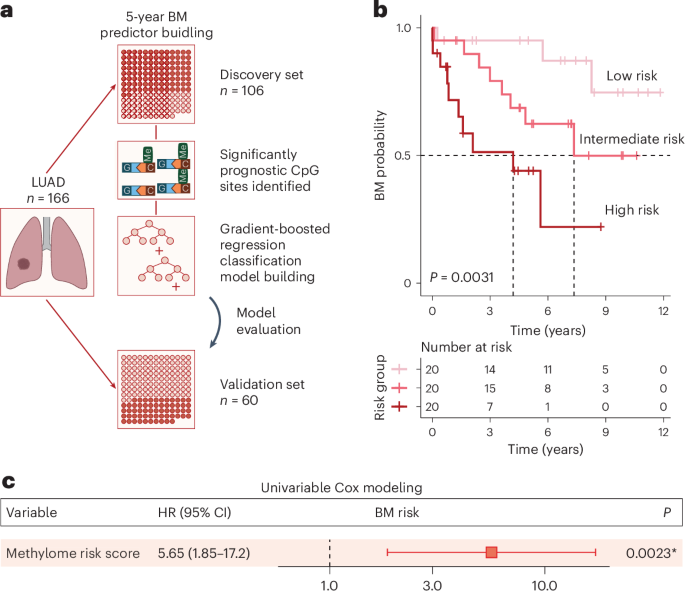 Using tumor DNA methylomes to predict cancer metastasis to the brain