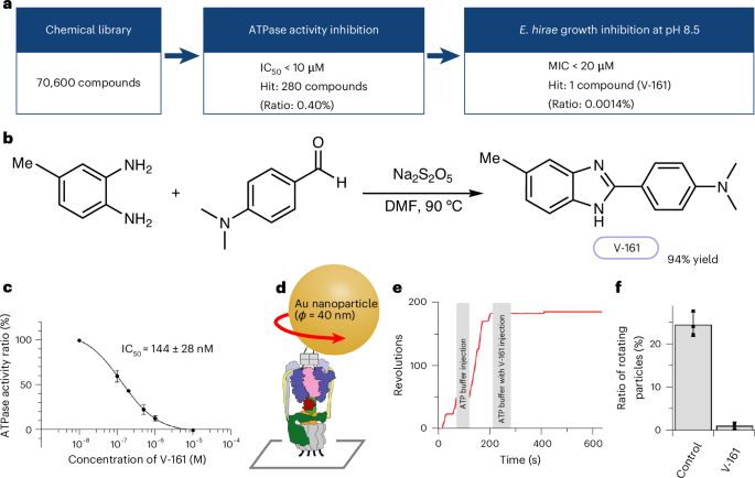 Na+-V-ATPase inhibitor curbs VRE growth and unveils Na+ pathway structure