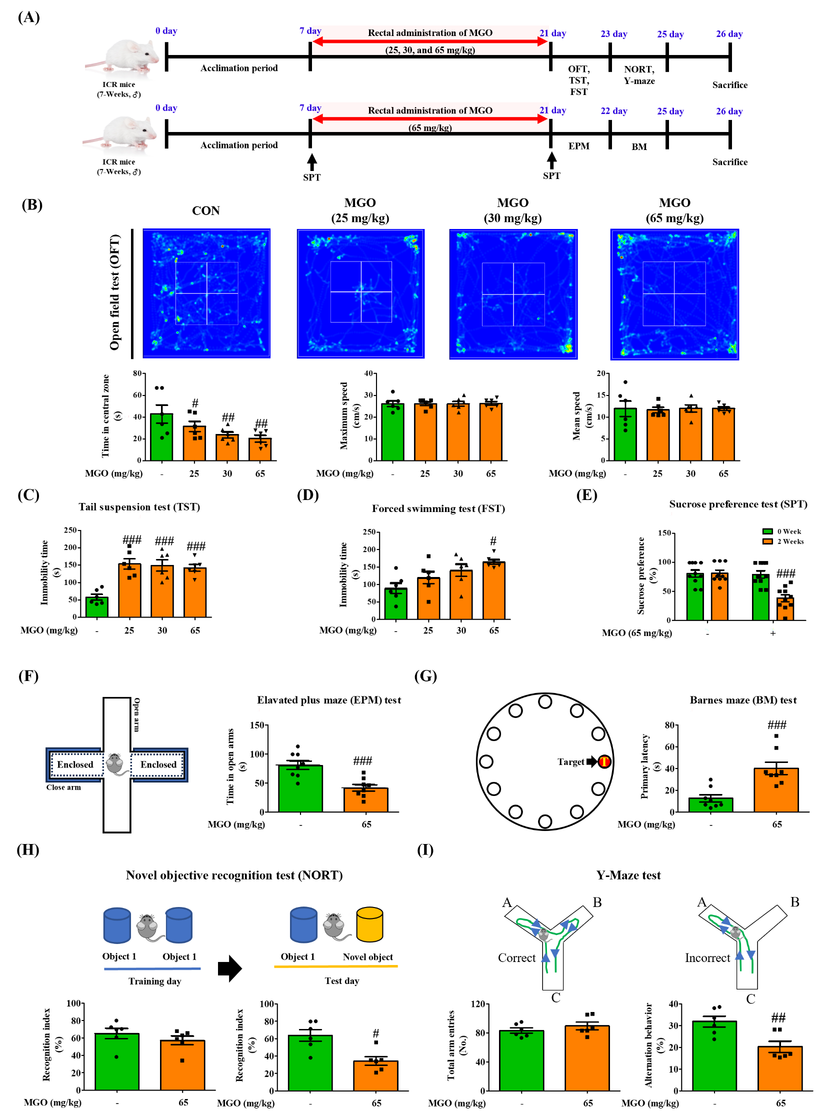 Depression like-behavior and memory loss induced by methylglyoxal is associated with tryptophan depletion and oxidative stress: a new in vivo model of neurodegeneration