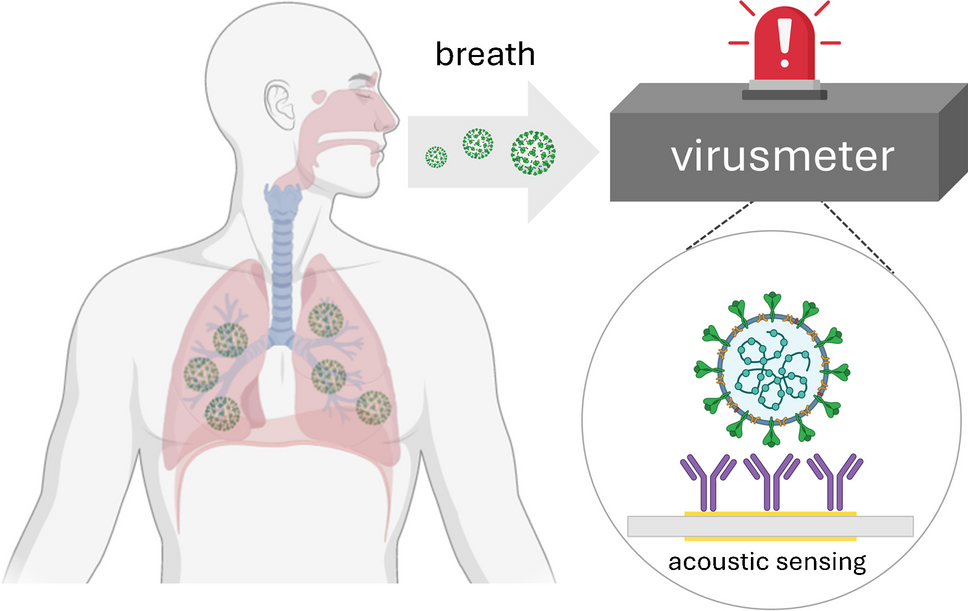 Real-world evaluation of a QCM-based biosensor for exhaled air