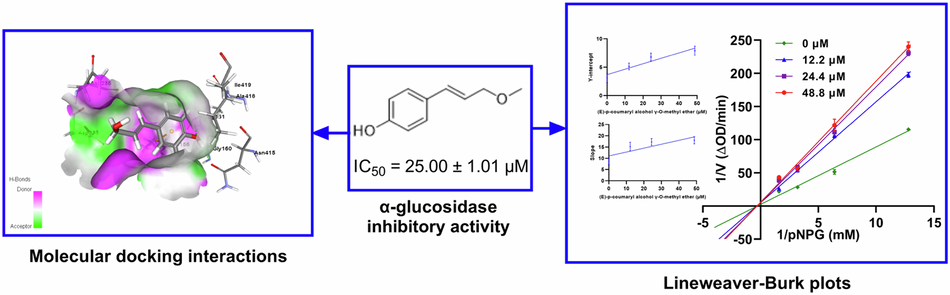 α-Glucosidase inhibitory activities of aromatic compounds from the rhizomes of Alpinia galanga