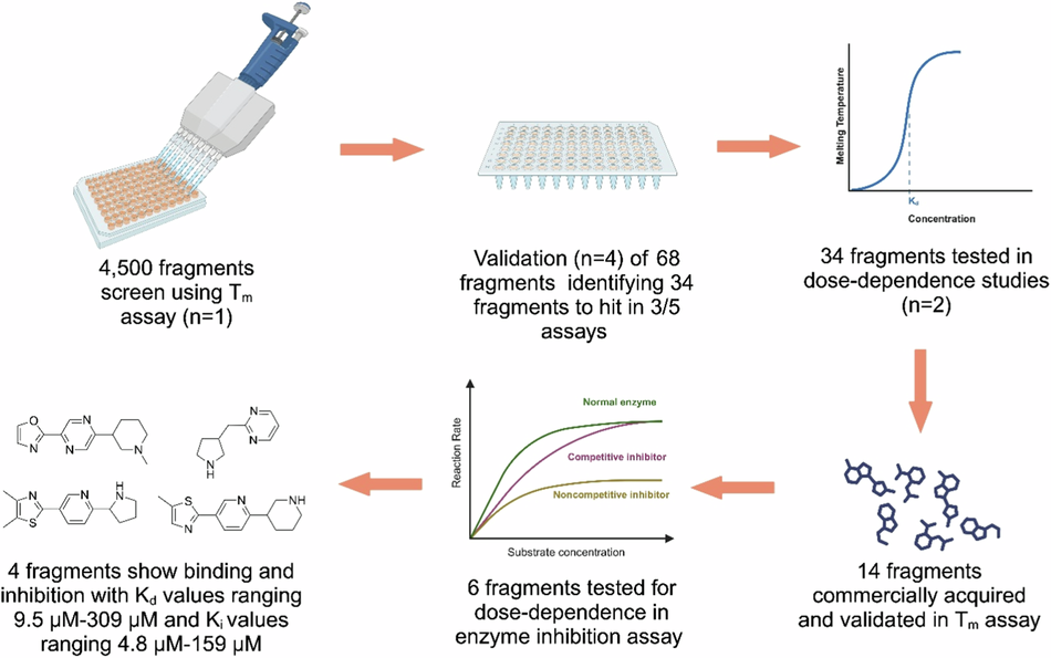 A fragment-based screen for inhibitors of Escherichia coli N5-CAIR mutase