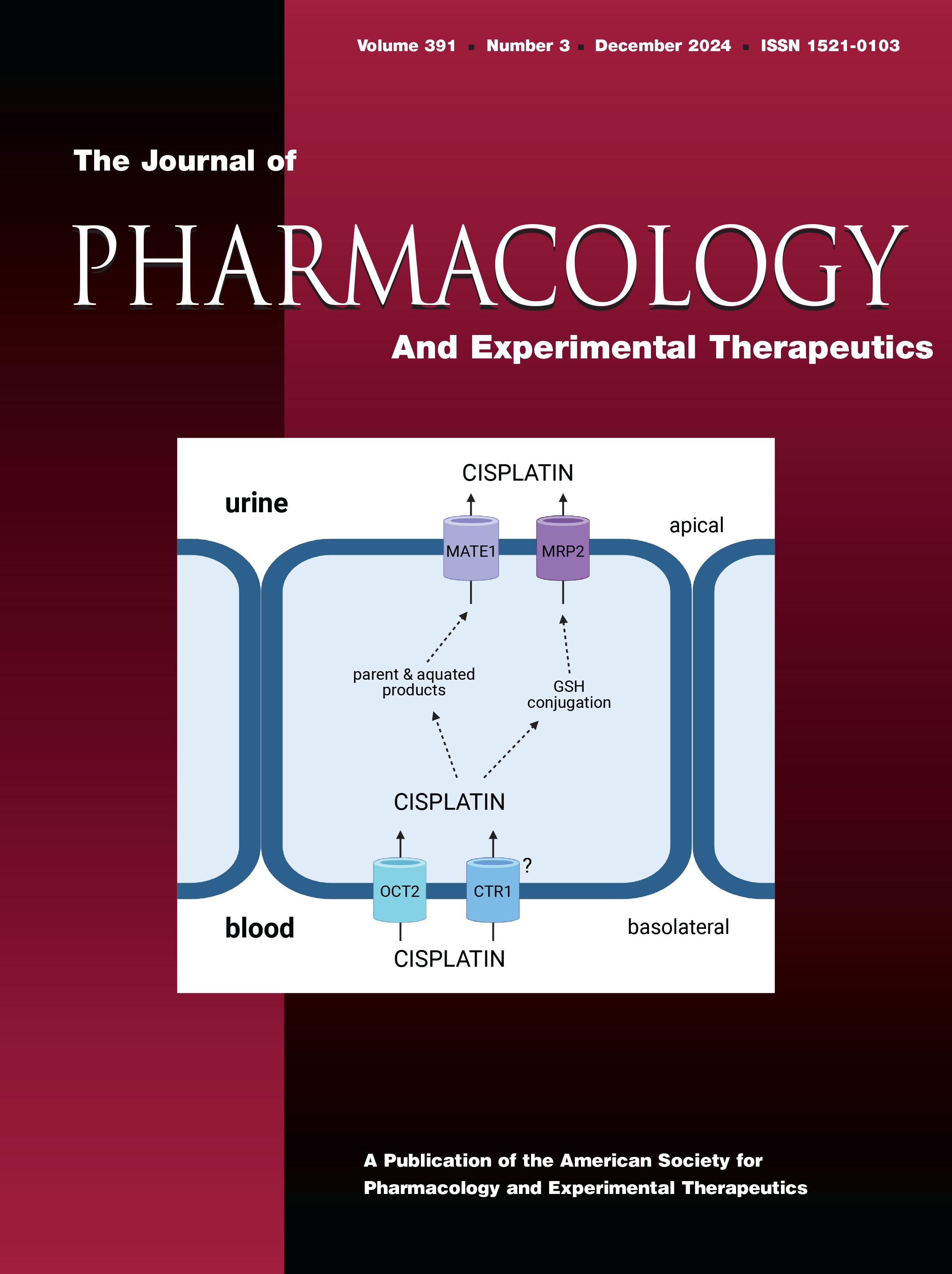 Characterization of Human Organic Anion Transporter 4 (hOAT4) and Mouse Oat5 (mOat5) As Functional Orthologs for Renal Anion Uptake and Efflux Transport [Metabolism, Transport, and Pharmacogenetics]