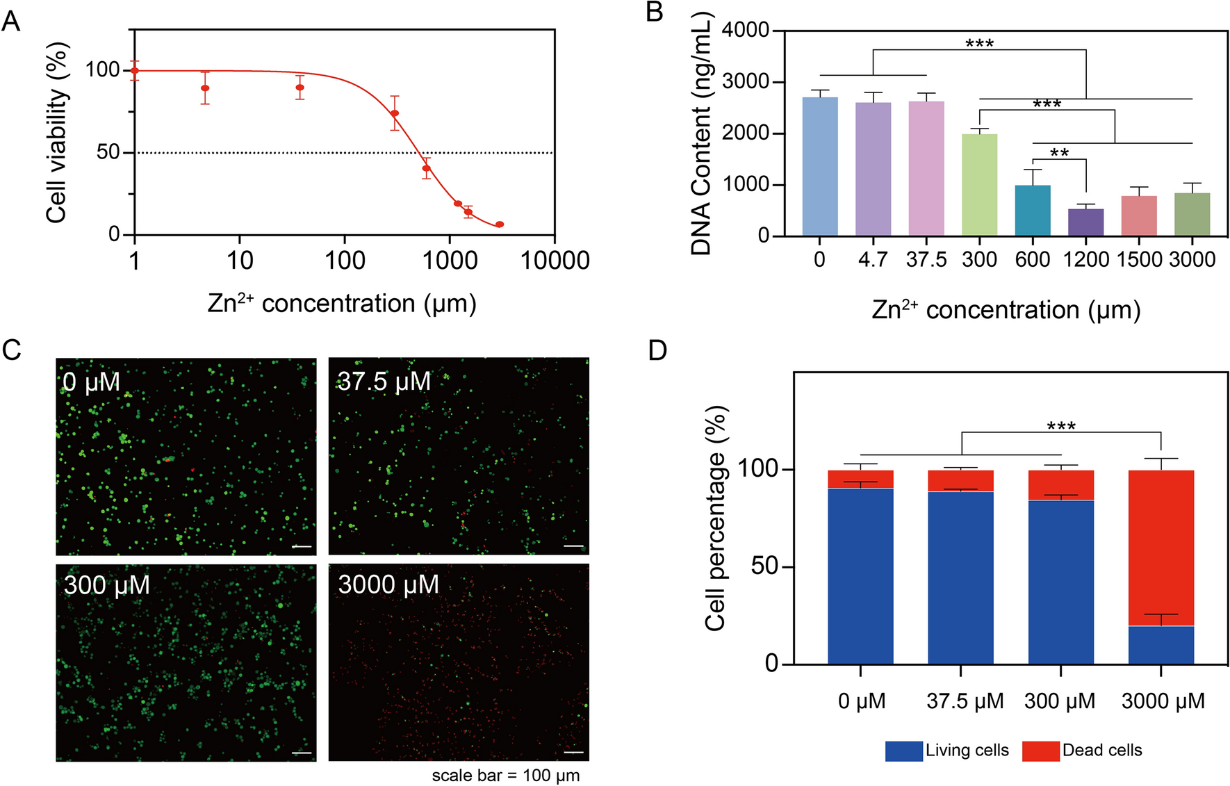 Development of Zinc-Containing Chitosan/Gelatin Coatings with Immunomodulatory Effect for Soft Tissue Sealing around Dental Implants