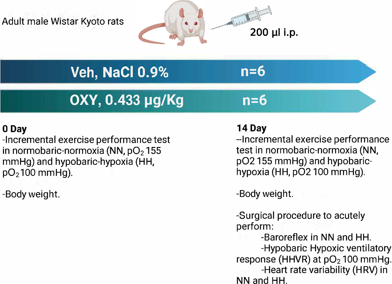 Effect of chronic exogenous oxytocin administration on exercise performance and cardiovagal control in hypobaric hypoxia in rats