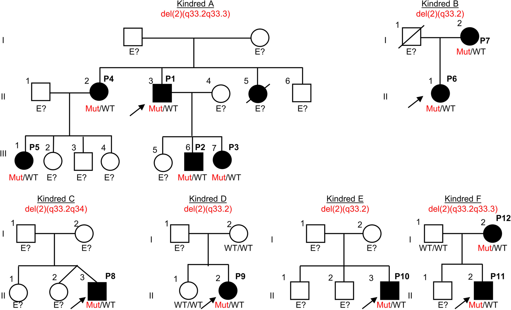 2q33 Deletions Underlying Syndromic and Non-syndromic CTLA4 Deficiency