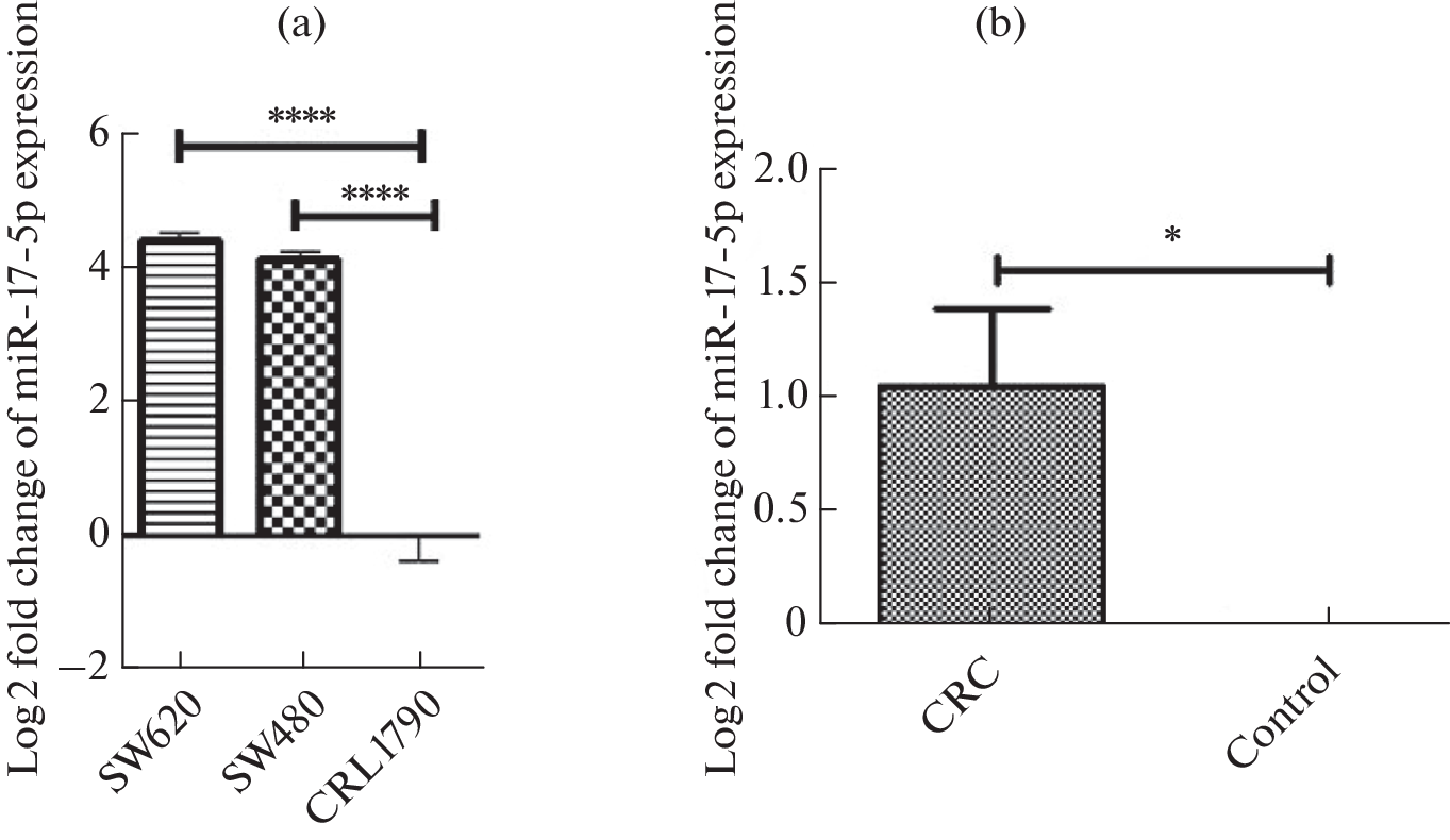 miR-17-5p Accelerates the Proliferation and Invasion of Colorectal Cancer via Regulating E2F1