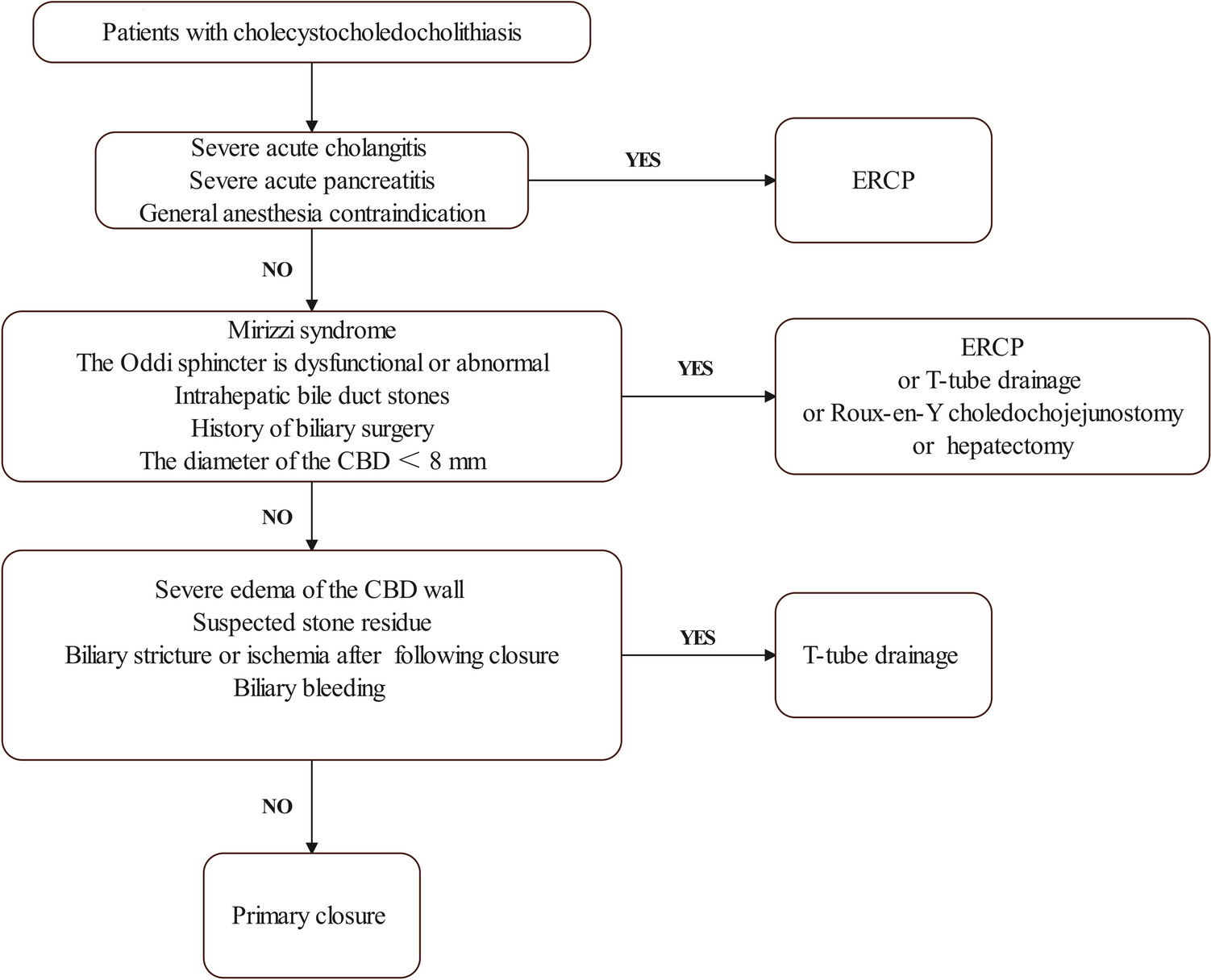 The safety and efficacy of primary duct closure after laparoscopic common bile duct exploration in patients with mild-to-moderate calculus-associated acute cholangitis: a retrospective cohort study