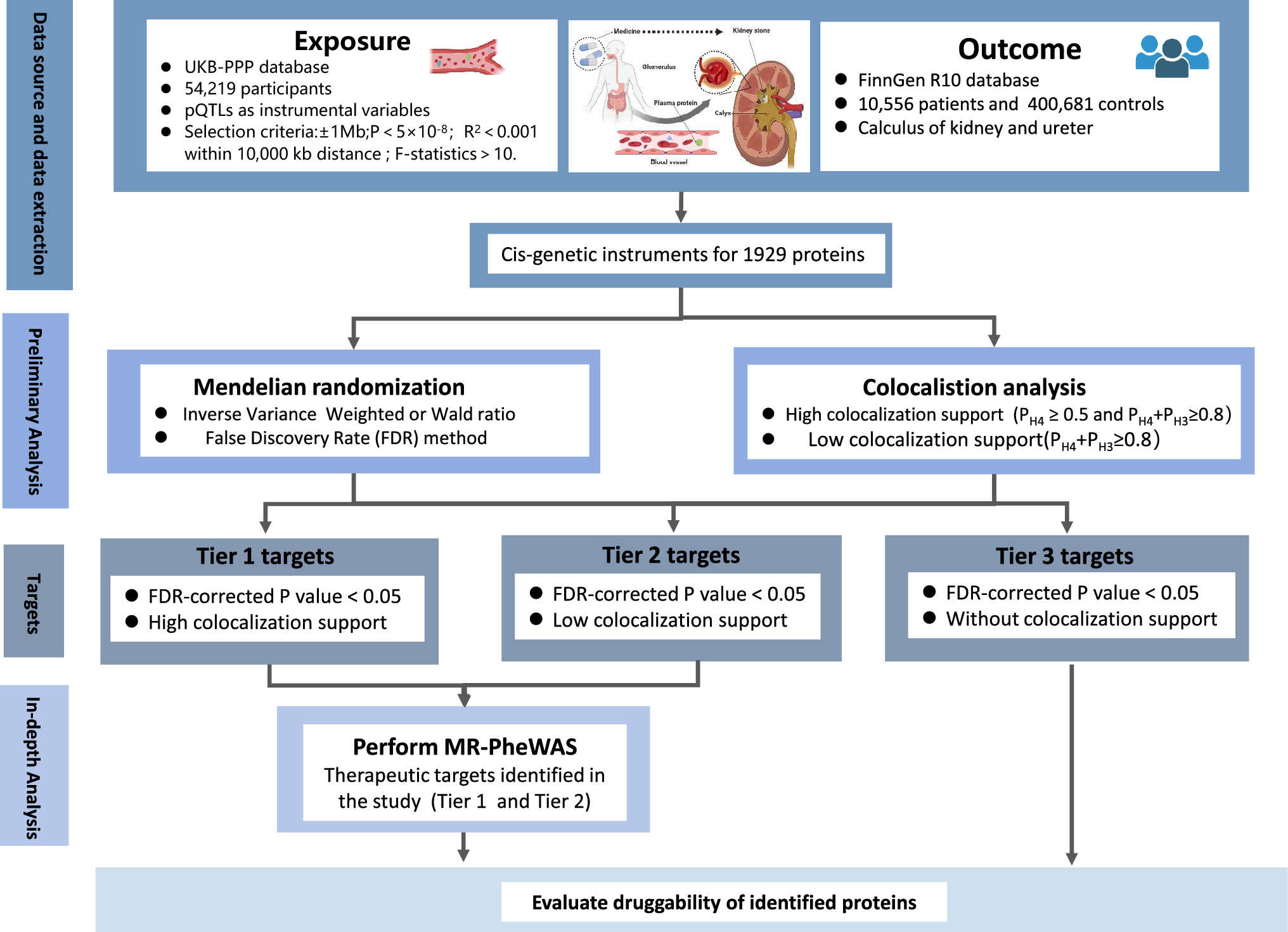 Identifying therapeutic targets for kidney stone disease through proteome-wide Mendelian randomization and colocalization analysis