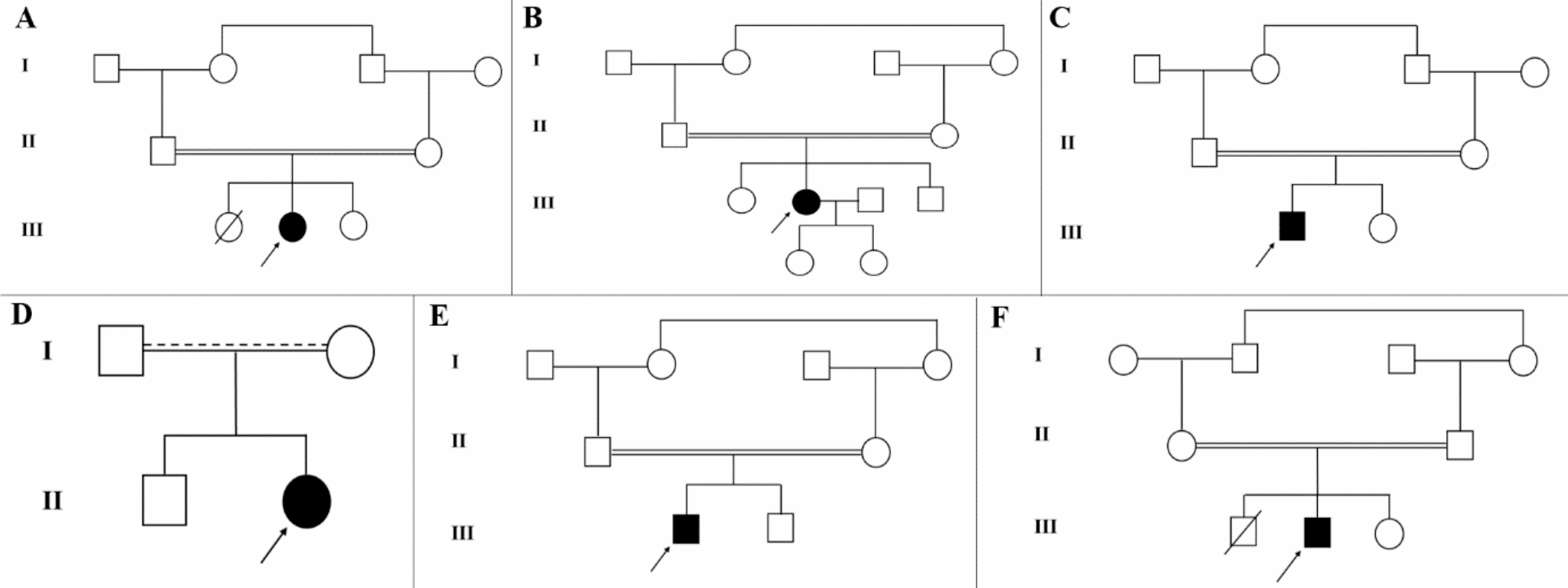 Clinical and genetic diversity in Iranian individuals with RAPSN-related congenital myasthenic syndrome