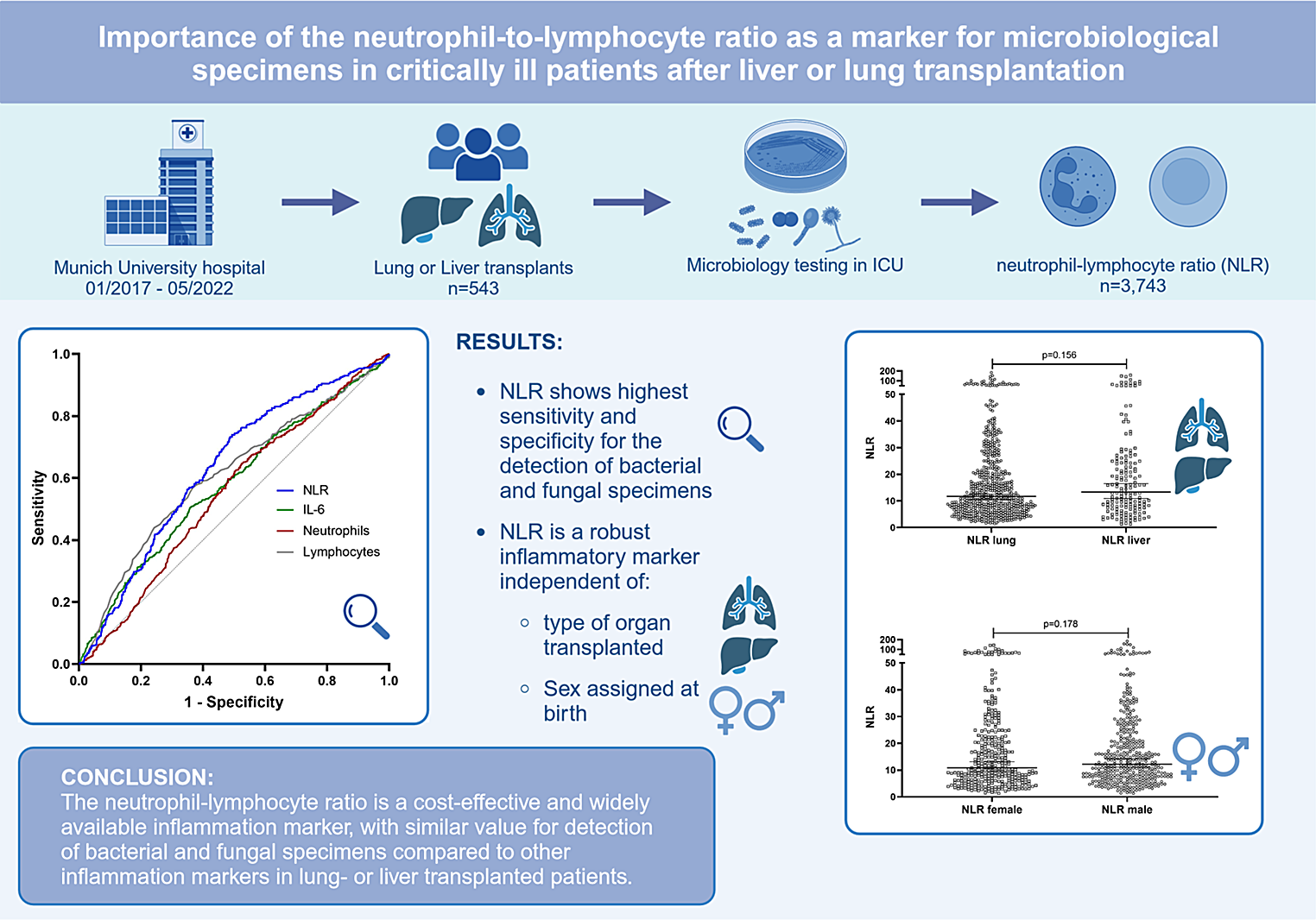 Importance of the neutrophil-to-lymphocyte ratio as a marker for microbiological specimens in critically ill patients after liver or lung transplantation