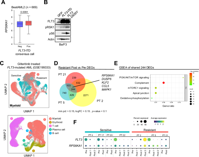 RSK1 dependency in FLT3-ITD acute myeloid leukemia