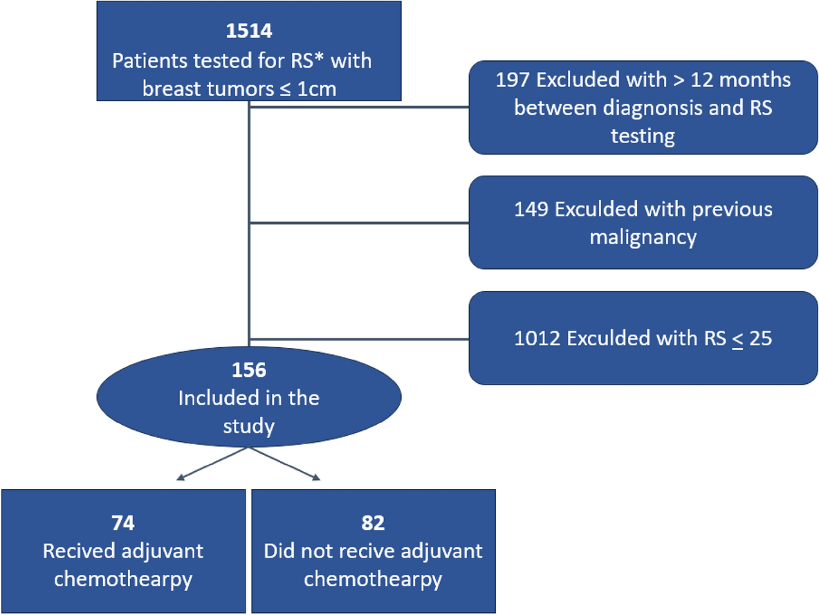 Adjuvant chemotherapy in T1a/bN0 breast cancer with a high 21-gene recurrence score (> 25): a 10-year follow-up in a real-world cohort