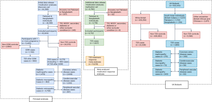 Genetic basis of early onset and progression of type 2 diabetes in South Asians