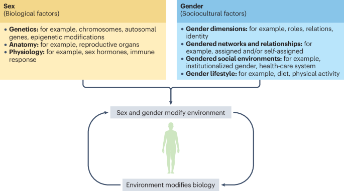 Leveraging research into sex differences and steroid hormones to improve brain health