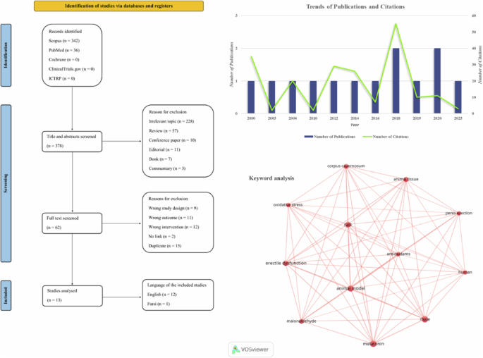 Melatonin and erectile dysfunction: addressing research gaps and proposing future investigations