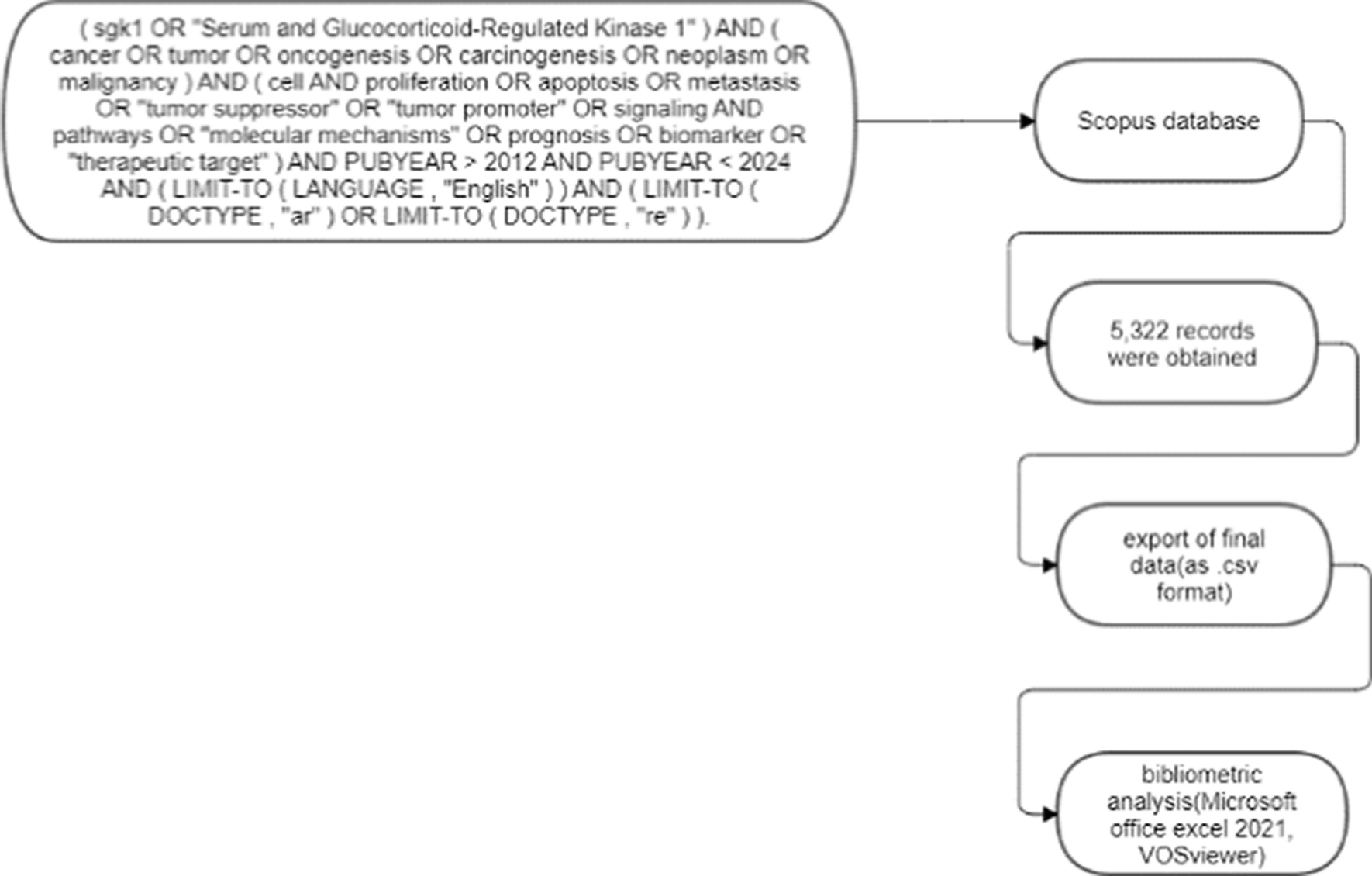 Role of sgk1 in cancer: a bibliometric analysis from 2013 to 2023—review article