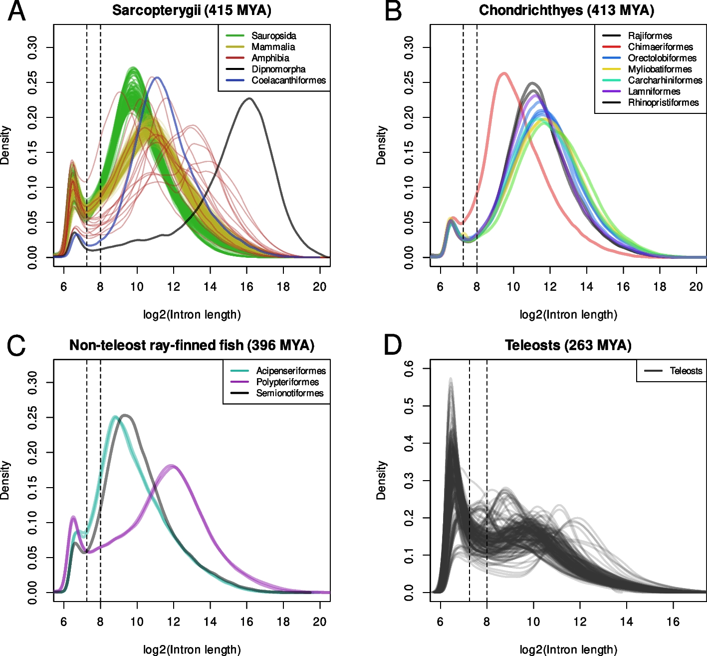 Multiple losses of aKRAB from PRDM9 coincide with a teleost-specific intron size distribution