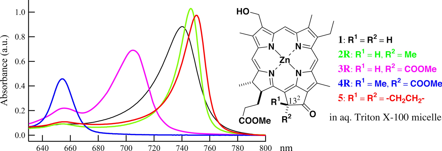 Self-aggregation of 132,132-disubstituted bacteriochlorophyll-d analog