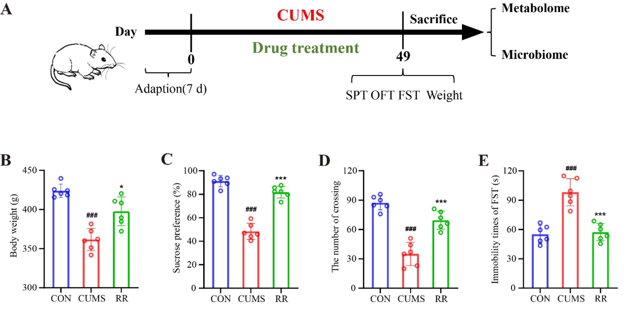 Integrated colon microbiome and metabolomics to elucidate the antidepressant mechanisms of the Radix Bupleuri-Radix Paeoniae Alba herb pair