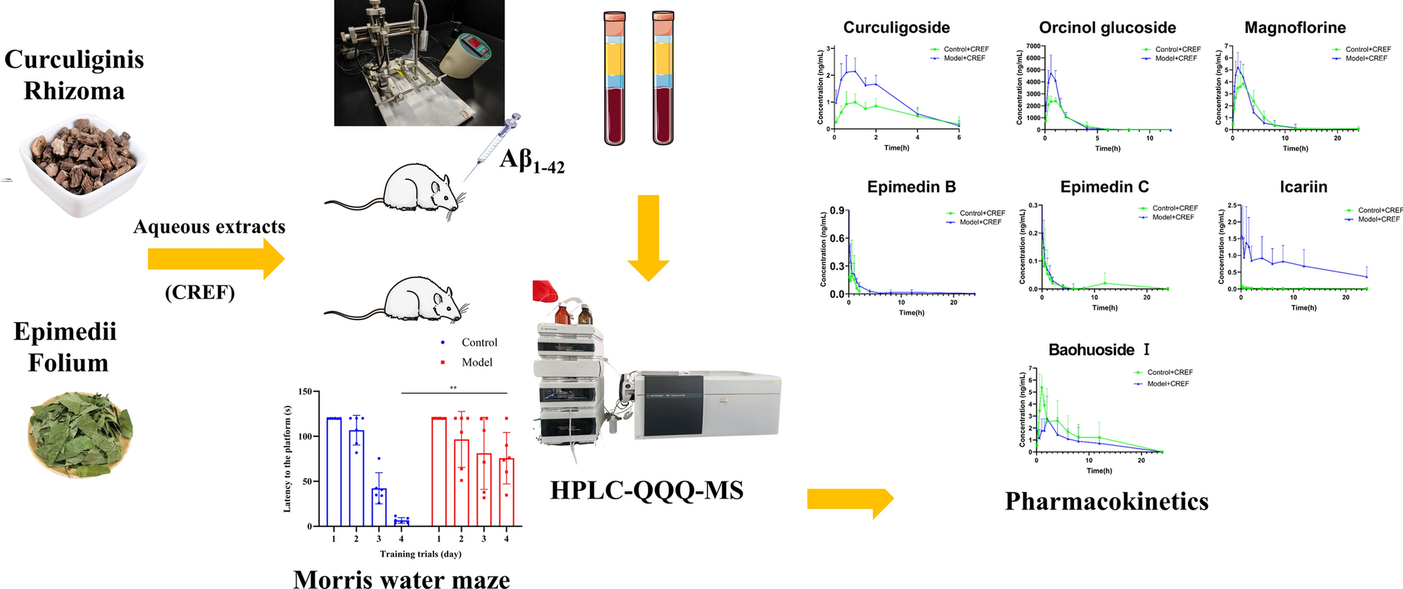 Pharmacokinetics of seven major components in Aβ1-42-treated rats after oral administration of an aqueous extract of Curculiginis Rhizoma and Epimedii Folium