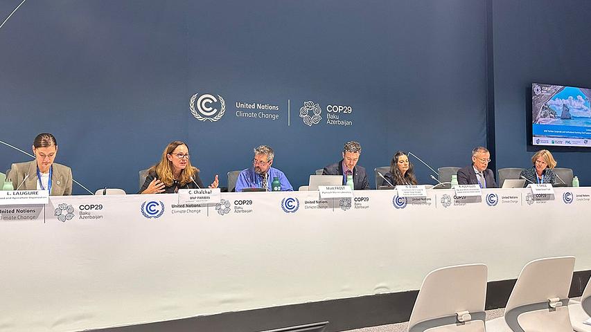 Reflections on COP29