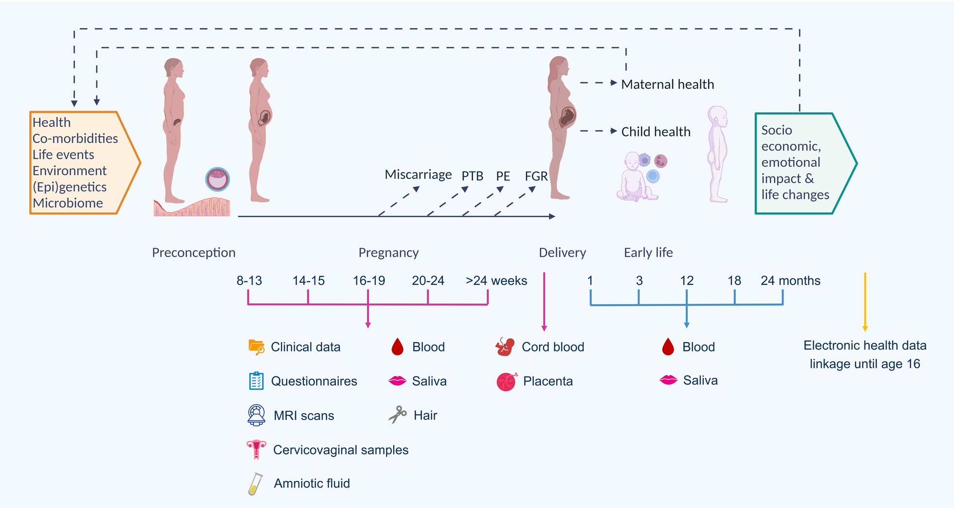 INSIGHT-2: mechanistic studies into pregnancy complications and their impact on maternal and child health—study protocol