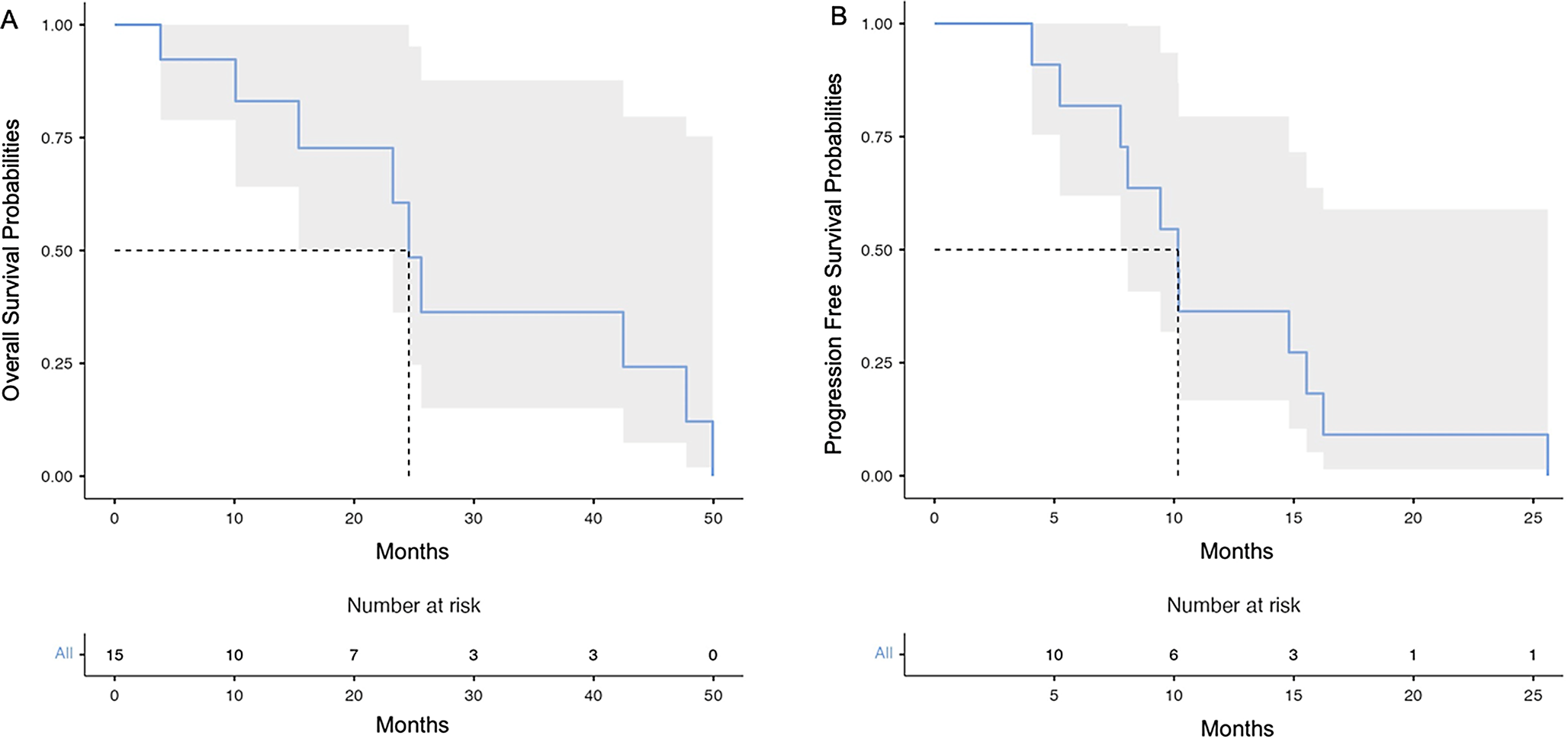 BEGEV is an Effective Therapy for Heavily Pretreated and Platinum-Resistant Relapsed/Refractory Hodgkin’s Lymphoma Patients: A Single Center Real-Life Experience