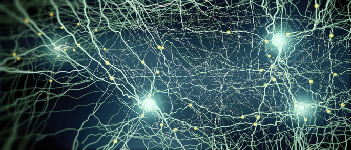 Opposing neuropeptides control cAMP signalling to regulate satiety