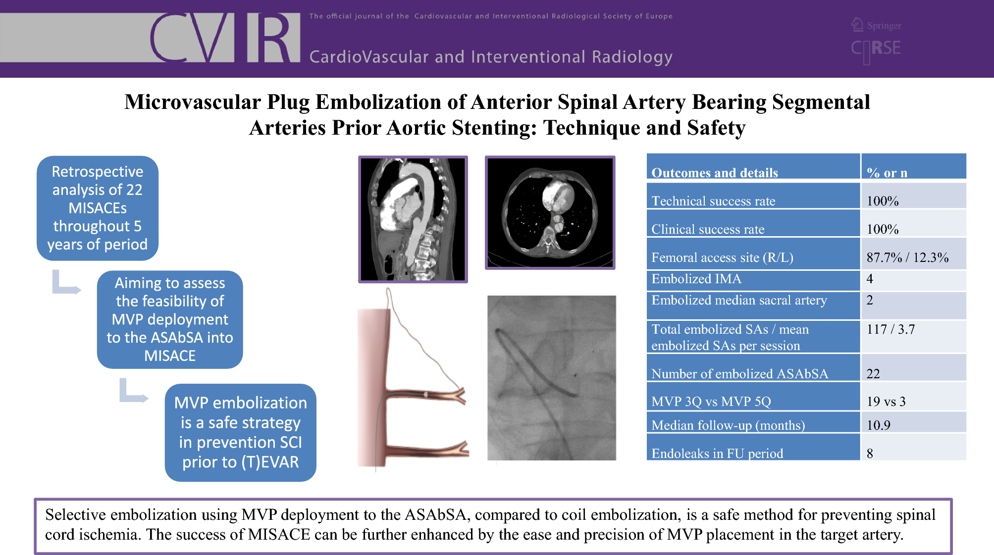 Microvascular Plug Embolization of Anterior Spinal Artery Bearing Segmental Arteries Prior Aortic Stenting: Technique and Safety