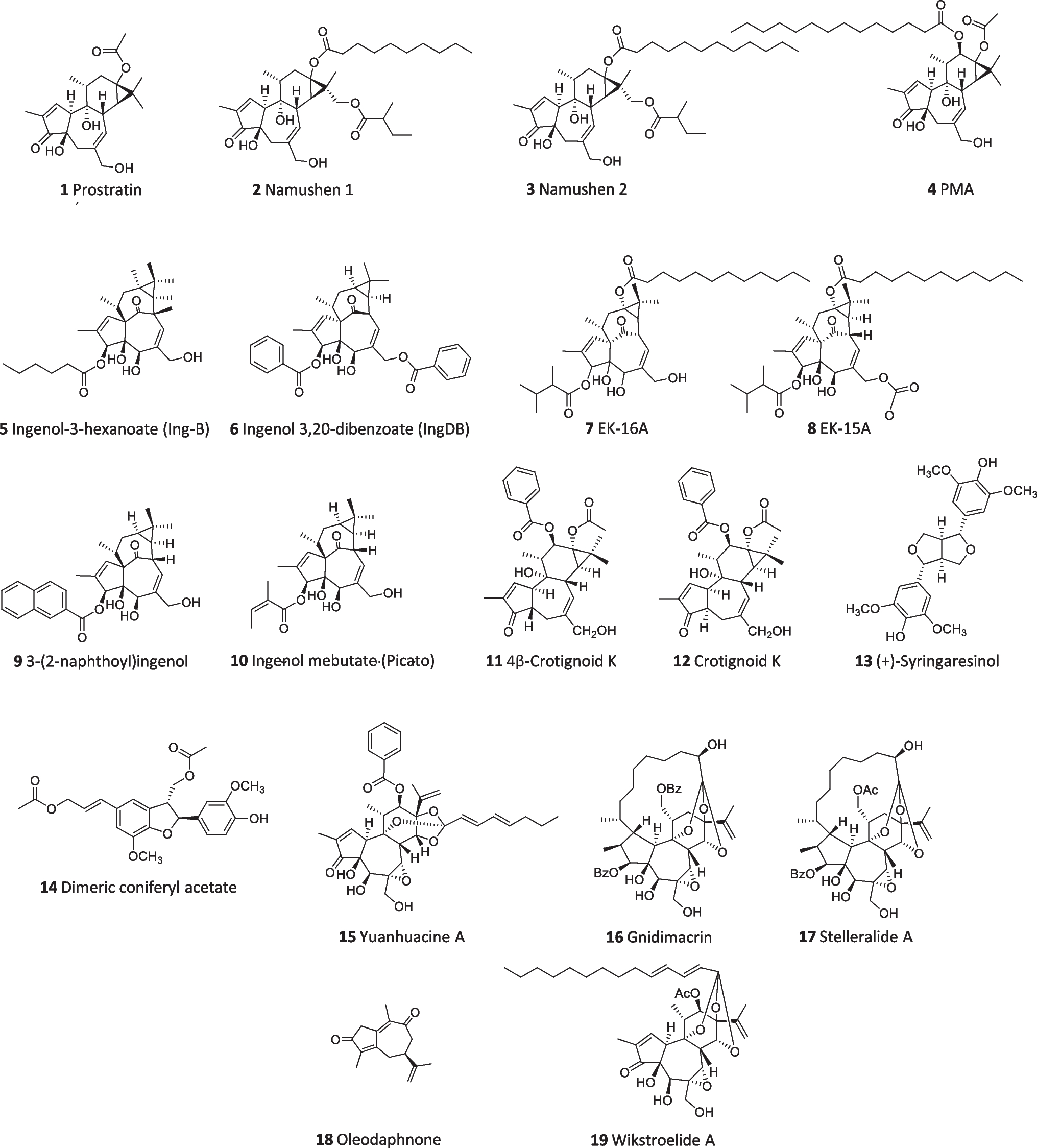 Medicinal Plant and Traditional Knowledge-guided Strategies to Combat HIV Persistence