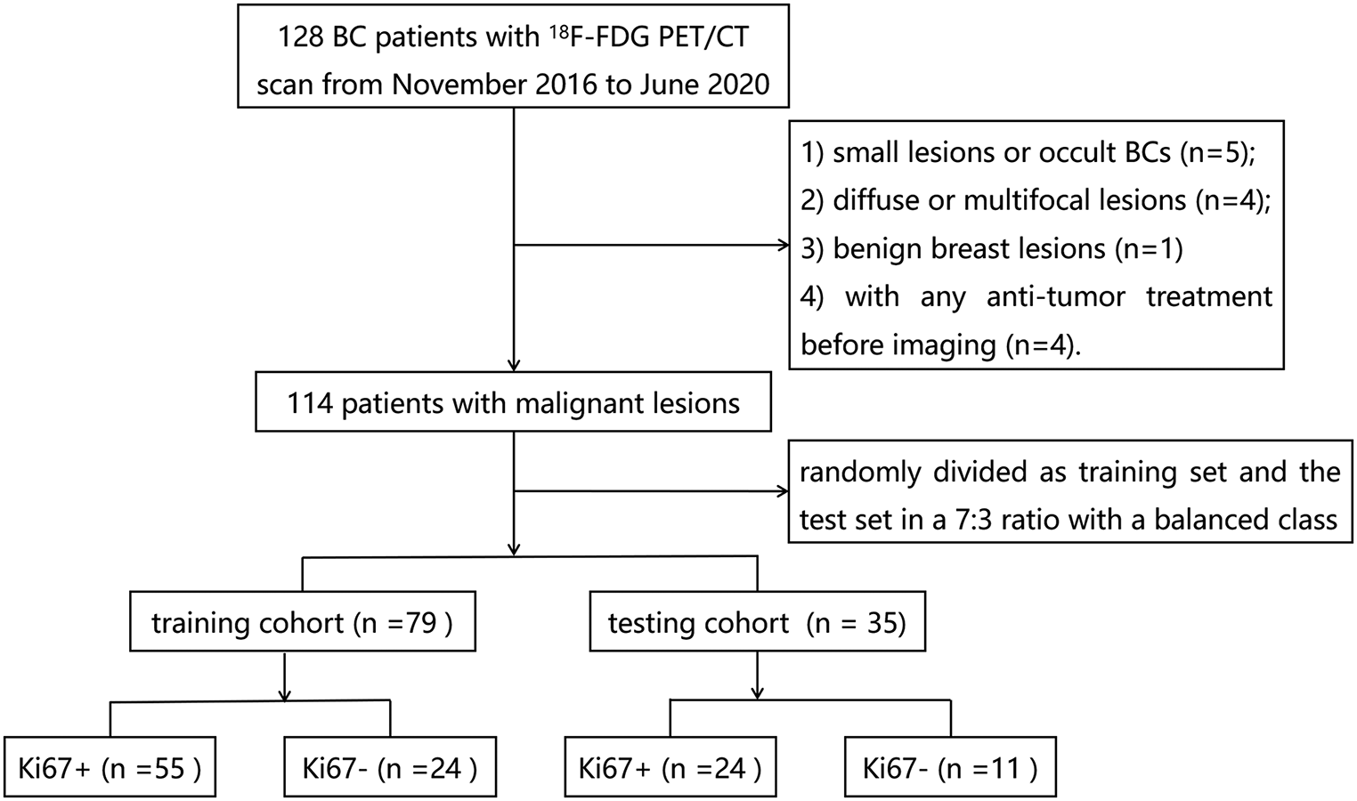 PET/CT Radiomics Integrated with Clinical Indexes as a Tool to Predict Ki67 in Breast Cancer: a Pilot Study