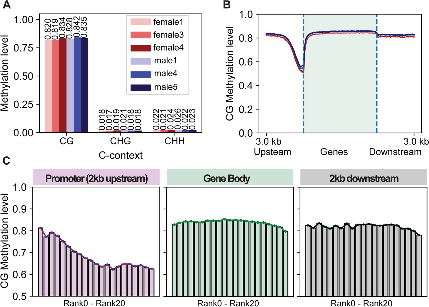 Whole-genome DNA methylomes of tree shrew brains reveal conserved and divergent roles of DNA methylation on sex chromosome regulation