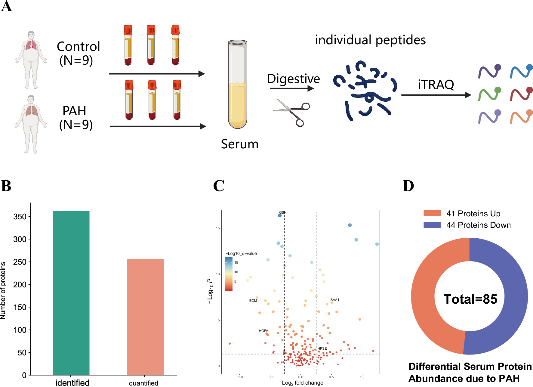 Serum proteome profiling reveals HGFA as a candidate biomarker for pulmonary arterial hypertension