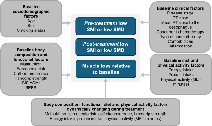 Sociodemographic and clinical factors associated with low muscle mass and composition in people treated with (chemo)radiotherapy for lung cancer