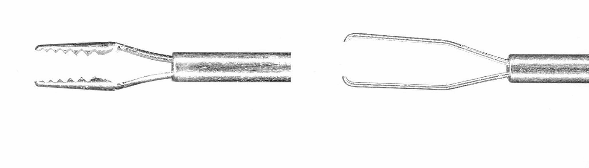 Magnetized forceps for intraocular foreign body removal: which one is suitable?