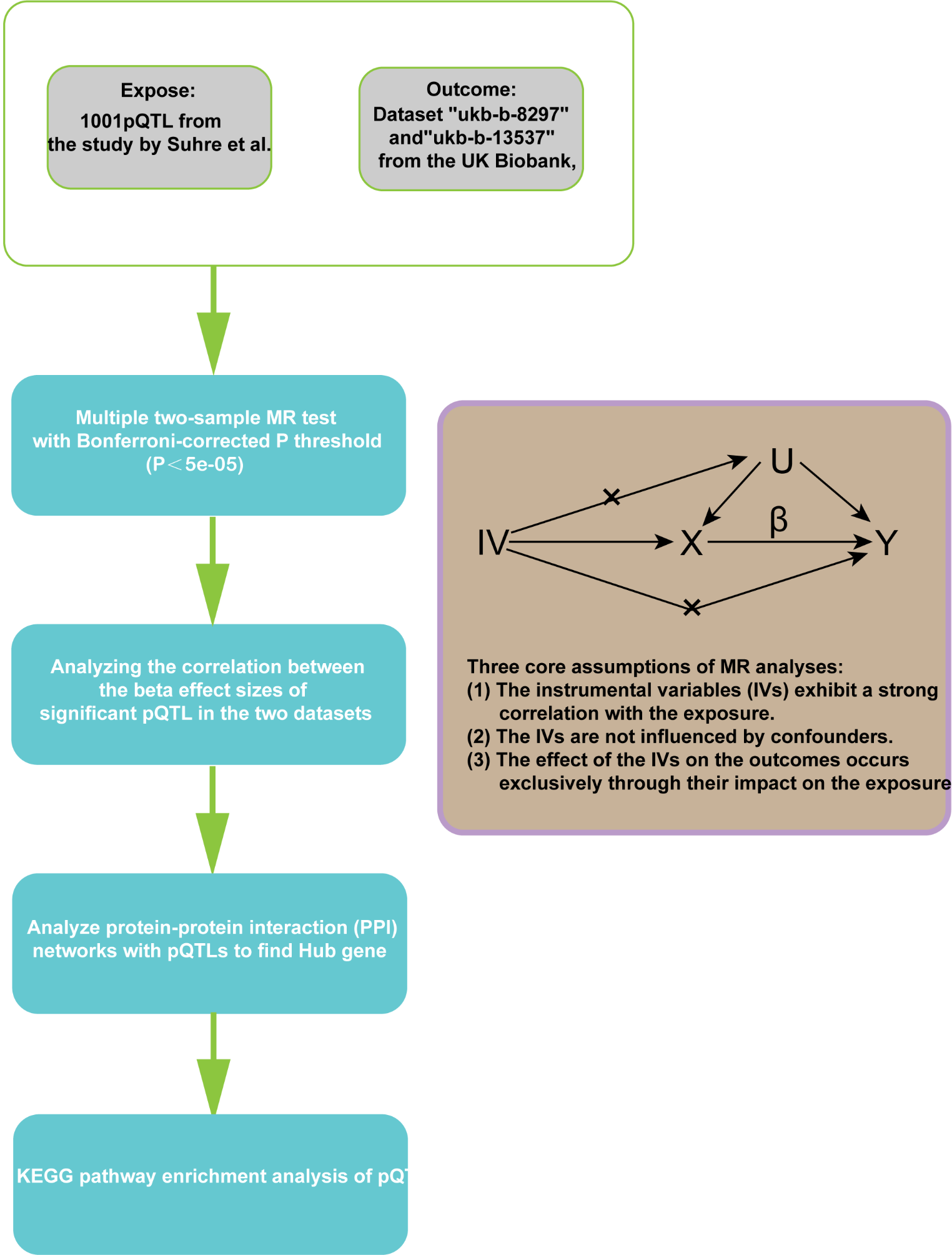 Genetic insights into kidney stone formation: a Mendelian randomization study of protein quantitative trait loci