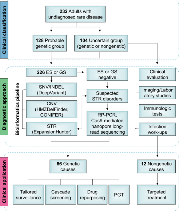 Implementing genomic medicine in clinical practice for adults with undiagnosed rare diseases