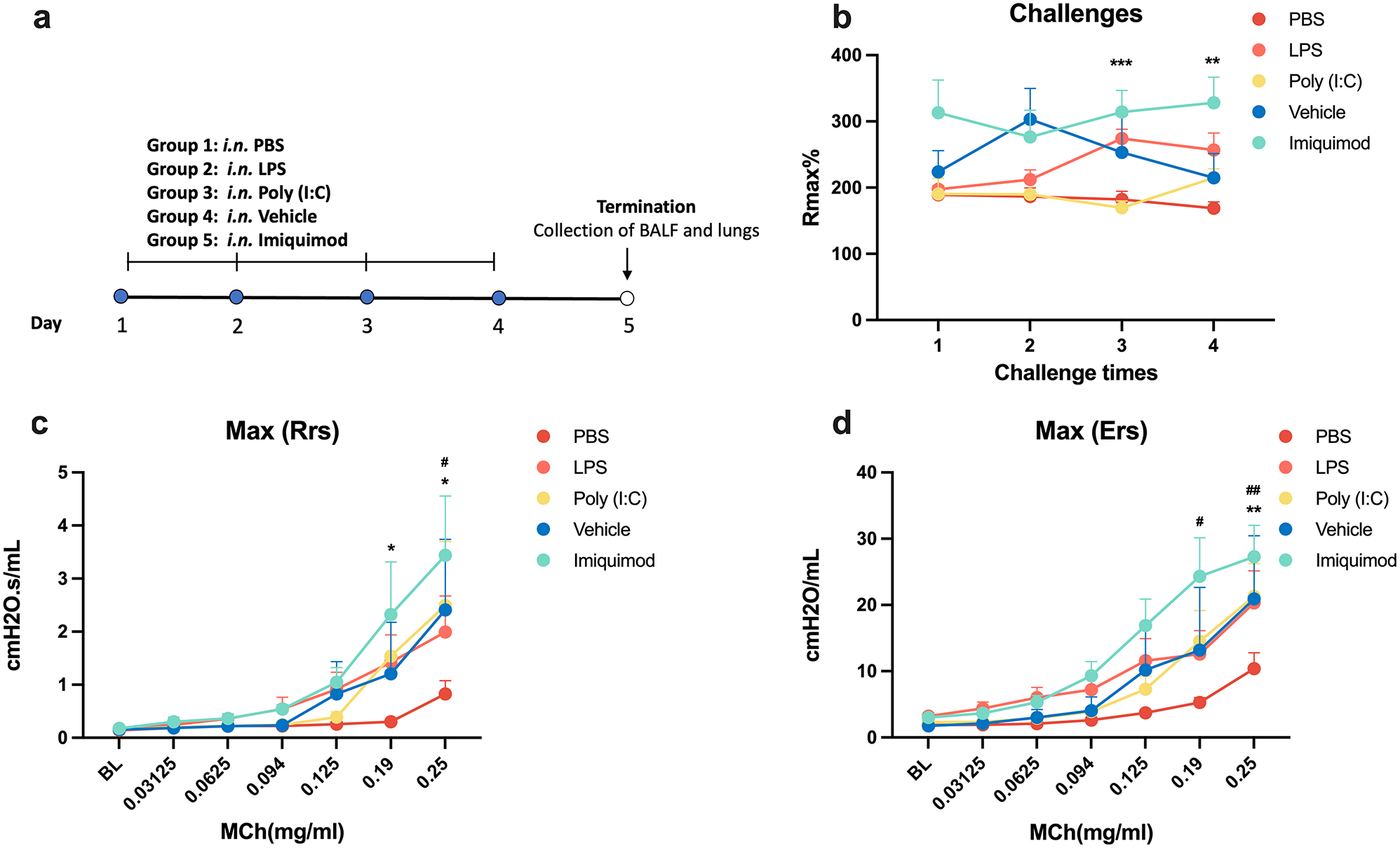 Toll-like receptor activation induces airway obstruction and hyperresponsiveness in guinea pigs