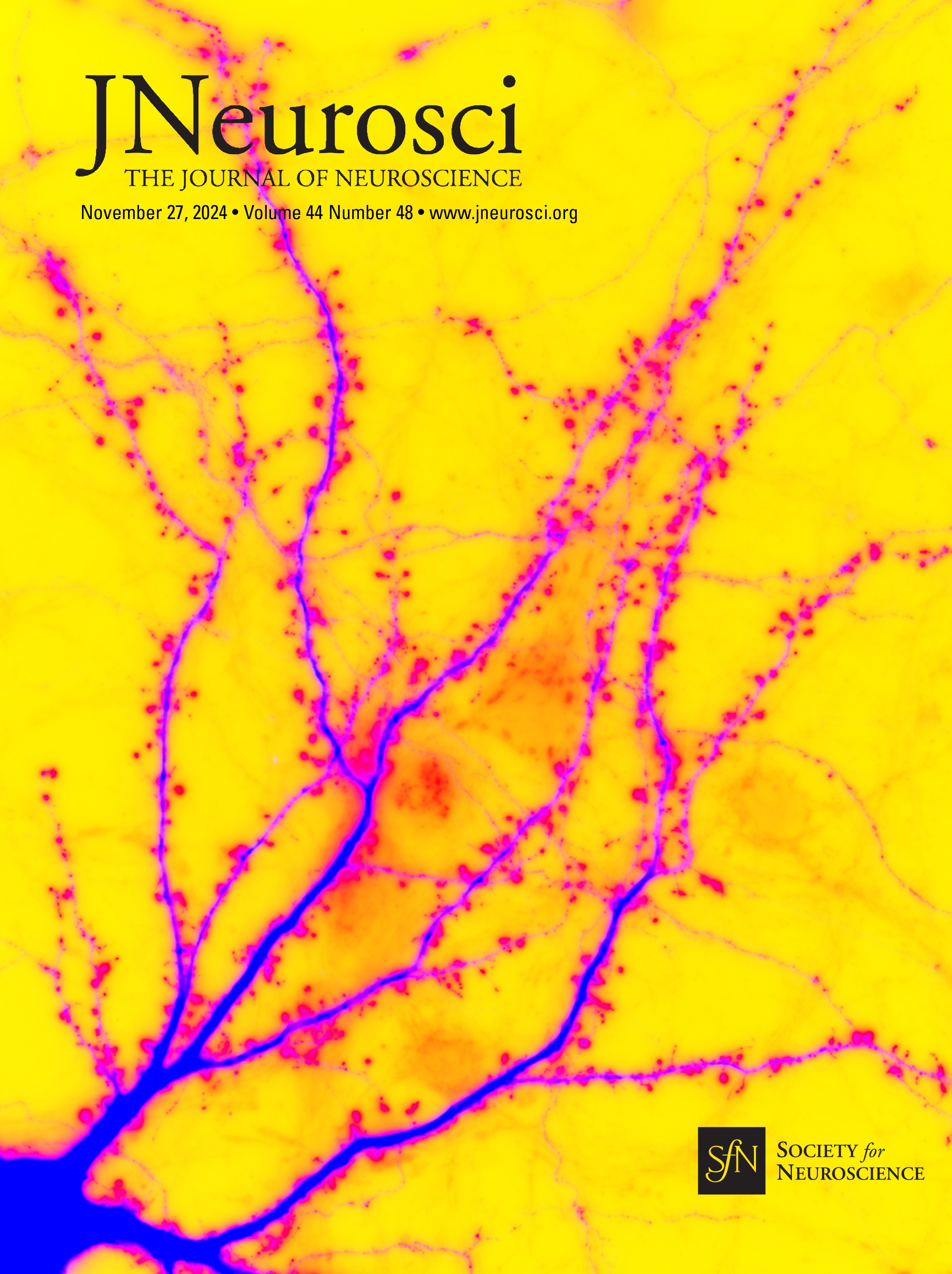 More Than a Small Brain: The Importance of Studying Neural Function during Development