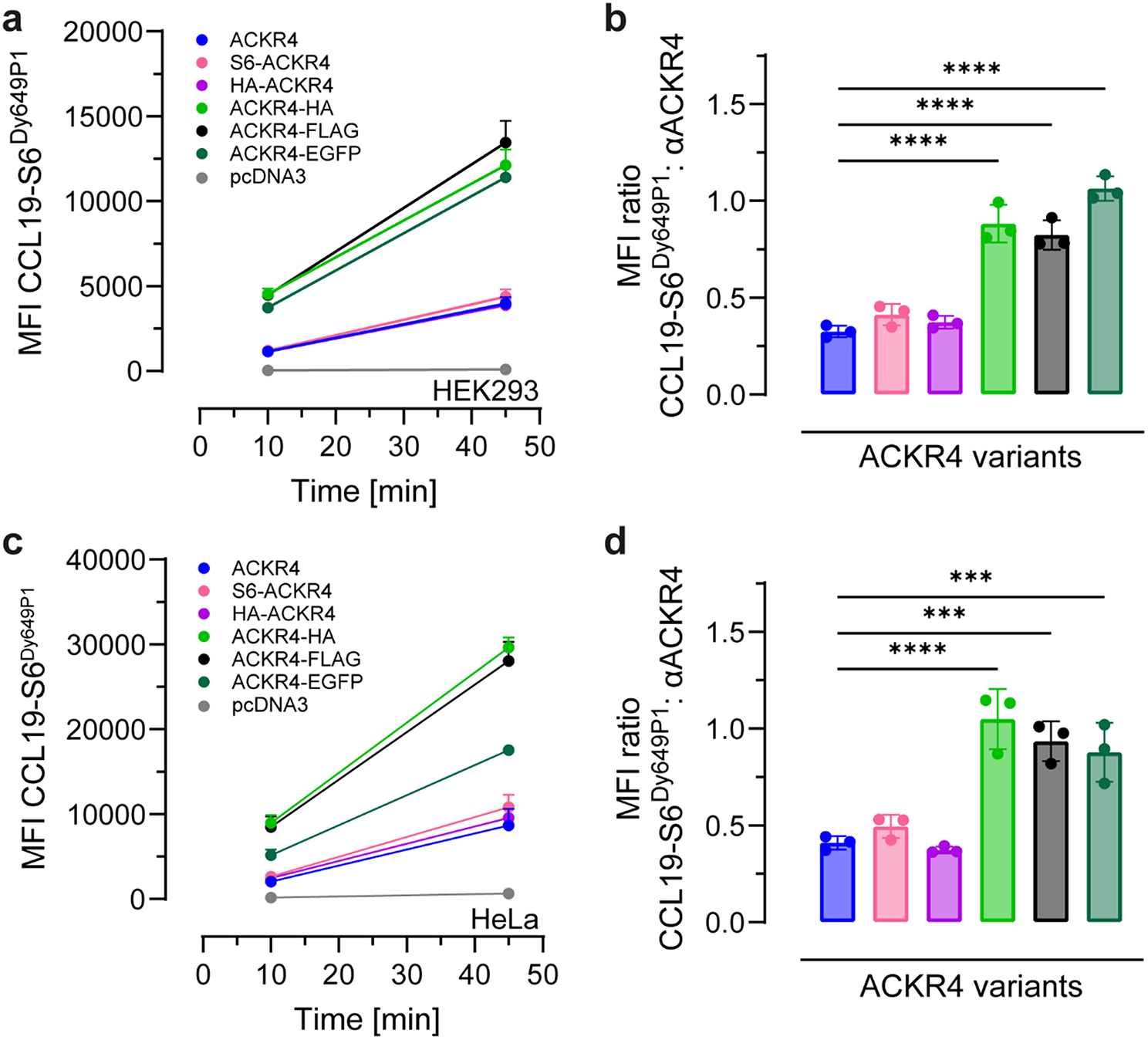 Identification of critical residues at the C-terminal tip of ACKR4 regulating chemokine internalization and βarrestin involvement